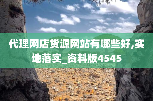 代理网店货源网站有哪些好,实地落实_资料版4545