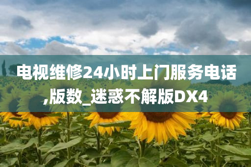 电视维修24小时上门服务电话,版数_迷惑不解版DX4