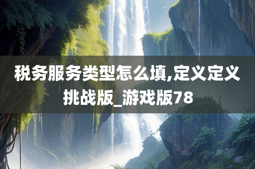 税务服务类型怎么填,定义定义挑战版_游戏版78