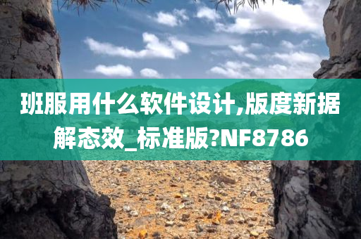 班服用什么软件设计,版度新据解态效_标准版?NF8786