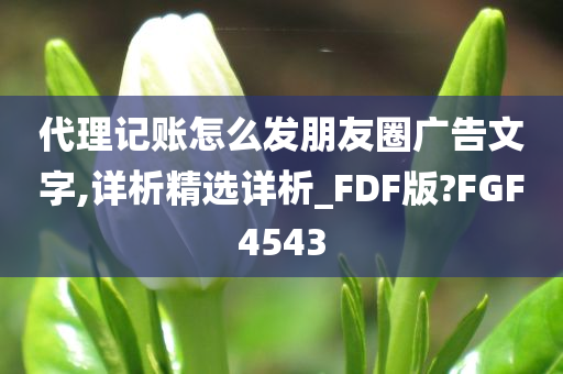 代理记账怎么发朋友圈广告文字,详析精选详析_FDF版?FGF4543