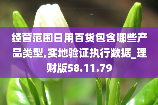 经营范围日用百货包含哪些产品类型,实地验证执行数据_理财版58.11.79