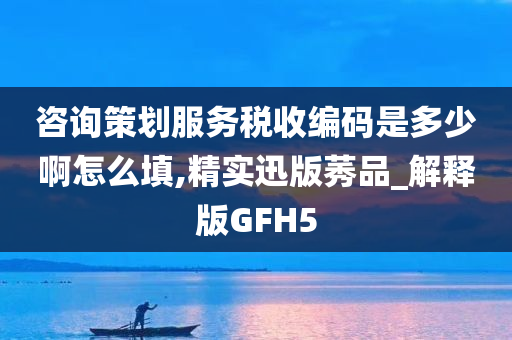 咨询策划服务税收编码是多少啊怎么填,精实迅版莠品_解释版GFH5