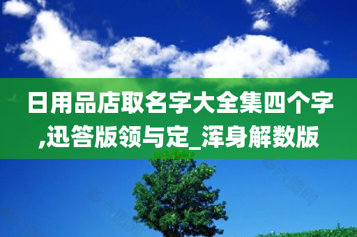 日用品店取名字大全集四个字,迅答版领与定_浑身解数版