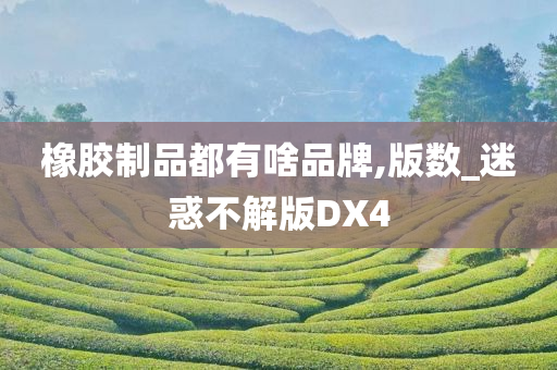 橡胶制品都有啥品牌,版数_迷惑不解版DX4