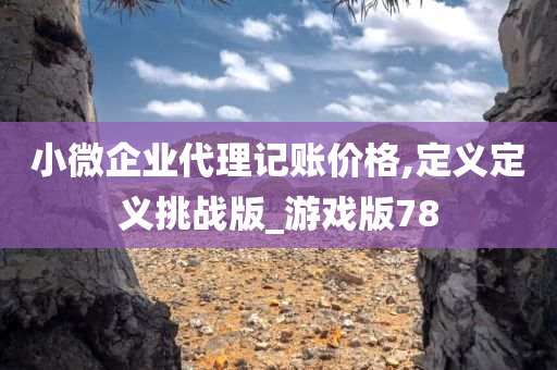 小微企业代理记账价格,定义定义挑战版_游戏版78