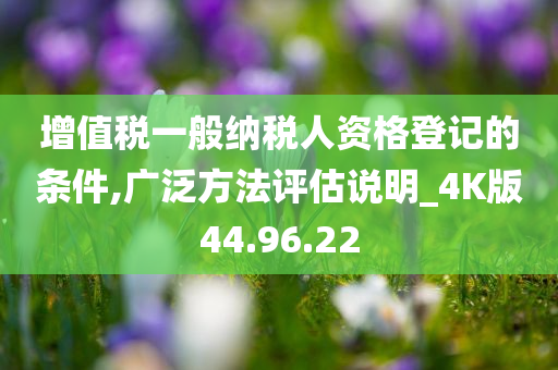 增值税一般纳税人资格登记的条件,广泛方法评估说明_4K版44.96.22