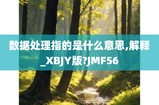 数据处理指的是什么意思,解释_XBJY版?JMF56