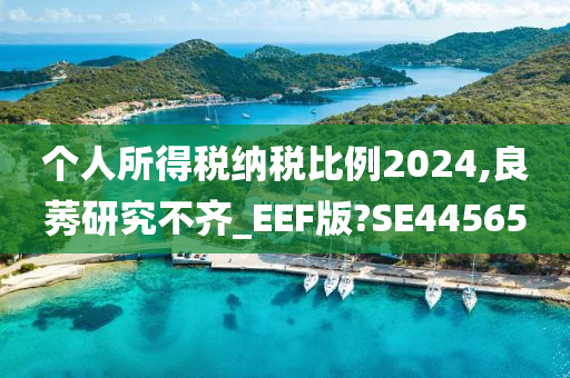 个人所得税纳税比例2024,良莠研究不齐_EEF版?SE44565