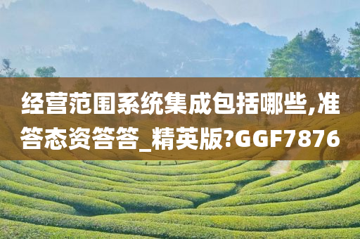 经营范围系统集成包括哪些,准答态资答答_精英版?GGF7876