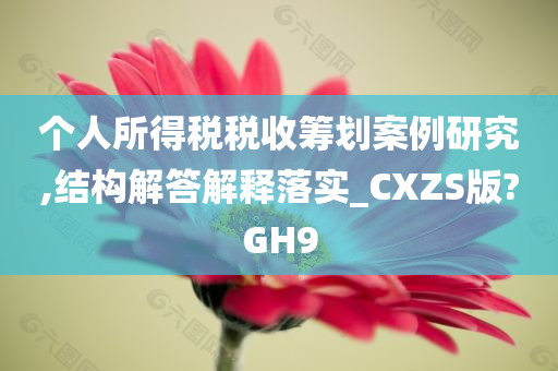 个人所得税税收筹划案例研究,结构解答解释落实_CXZS版?GH9