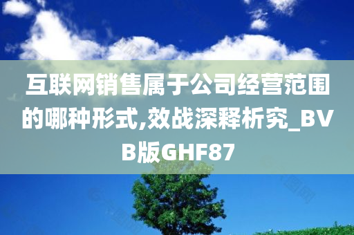 互联网销售属于公司经营范围的哪种形式,效战深释析究_BVB版GHF87