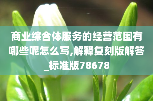 商业综合体服务的经营范围有哪些呢怎么写,解释复刻版解答_标准版78678