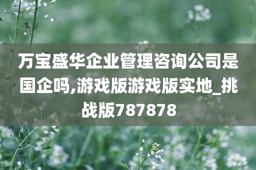 万宝盛华企业管理咨询公司是国企吗,游戏版游戏版实地_挑战版787878