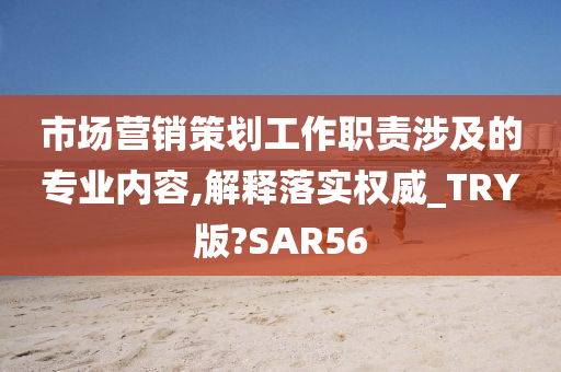 市场营销策划工作职责涉及的专业内容,解释落实权威_TRY版?SAR56