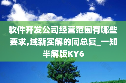 软件开发公司经营范围有哪些要求,域新实解的同总复_一知半解版KY6