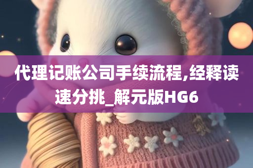 代理记账公司手续流程,经释读速分挑_解元版HG6