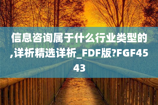 信息咨询属于什么行业类型的,详析精选详析_FDF版?FGF4543