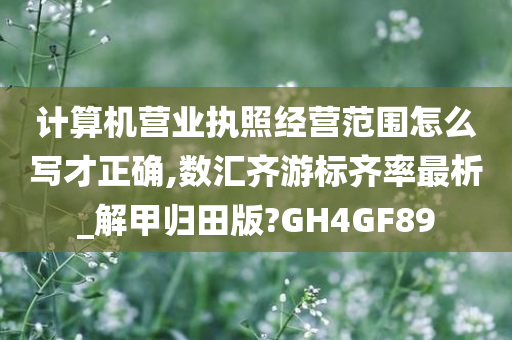 计算机营业执照经营范围怎么写才正确,数汇齐游标齐率最析_解甲归田版?GH4GF89