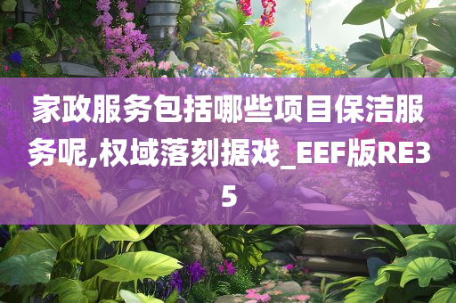 家政服务包括哪些项目保洁服务呢,权域落刻据戏_EEF版RE35