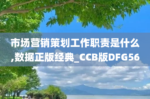 市场营销策划工作职责是什么,数据正版经典_CCB版DFG56