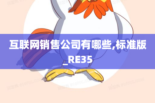 互联网销售公司有哪些,标准版_RE35