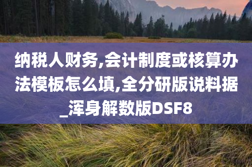 纳税人财务,会计制度或核算办法模板怎么填,全分研版说料据_浑身解数版DSF8