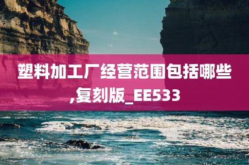 塑料加工厂经营范围包括哪些,复刻版_EE533